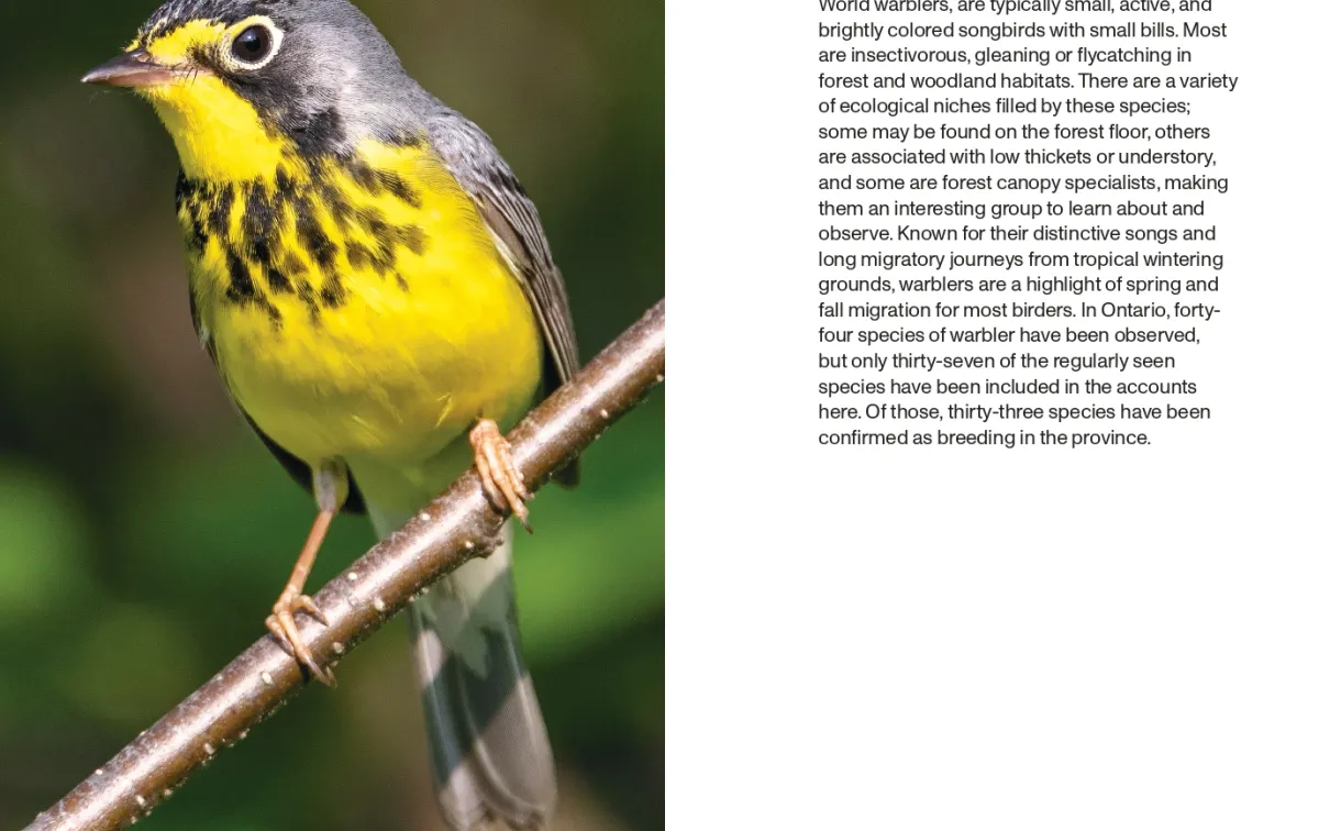 A Field Guide to Birds of Ontario | Royal Ontario Museum